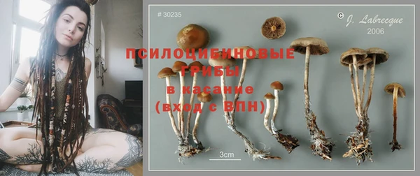 гашик Магас