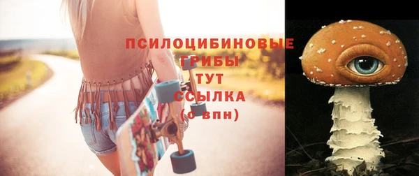 гашик Магас