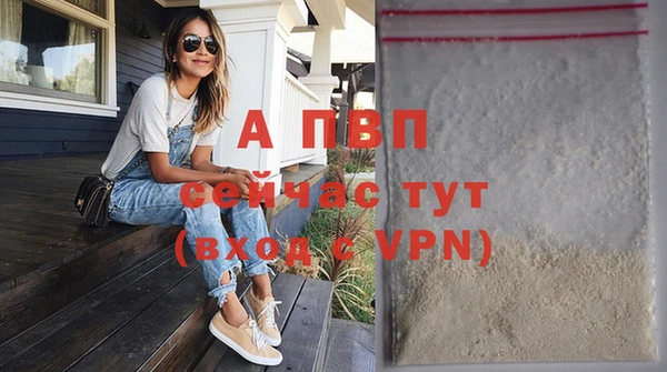 гашик Магас