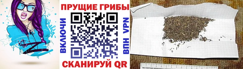 Галлюциногенные грибы ЛСД  Норильск 