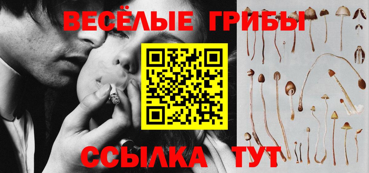 Псилоцибиновые грибы мицелий Норильск