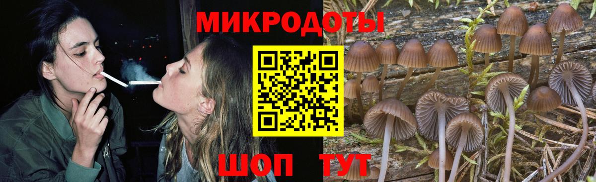 наркошоп  Псилоцибиновые грибы MAGIC MUSHROOMS  Вход с VPN  Норильск 