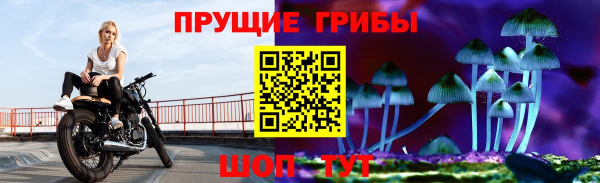 Галлюциногенные грибы прущие грибы Норильск